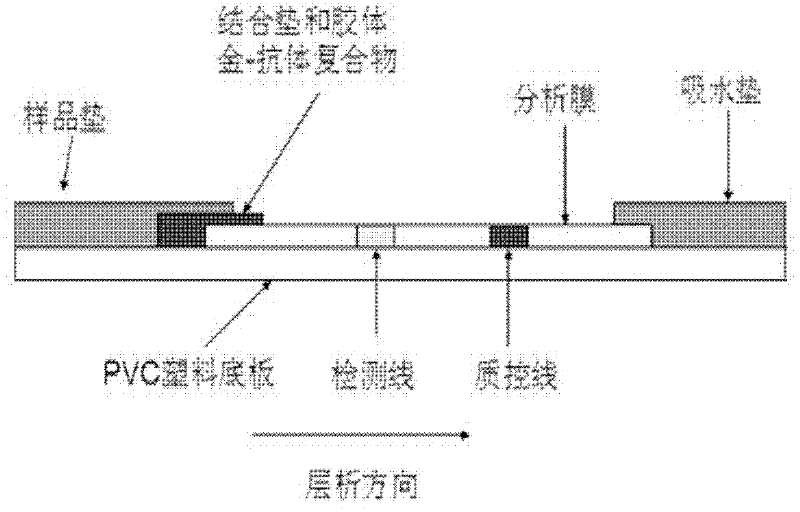 Method for detecting staphylococcus aureus