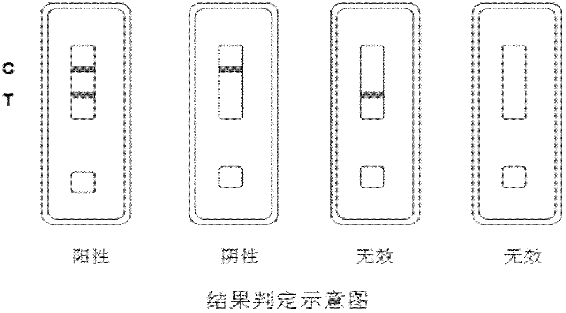 Method for detecting staphylococcus aureus