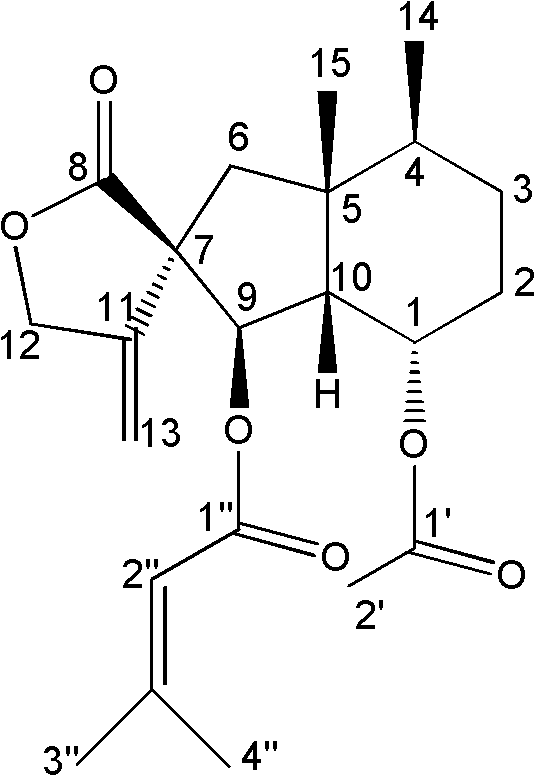 Petasites tatewakianus Kitam. extract as well as preparation method and application thereof