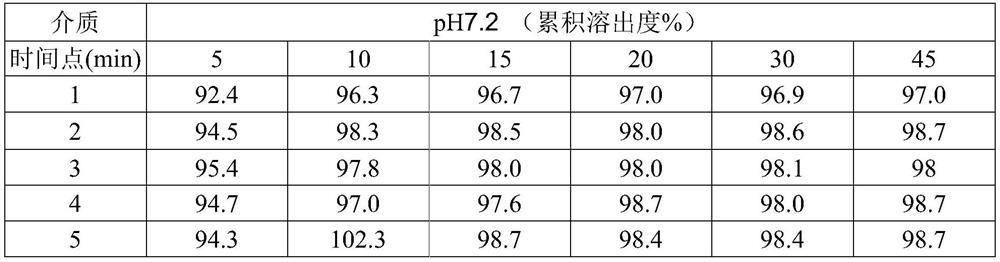 Ibuprofen granule and preparation method thereof