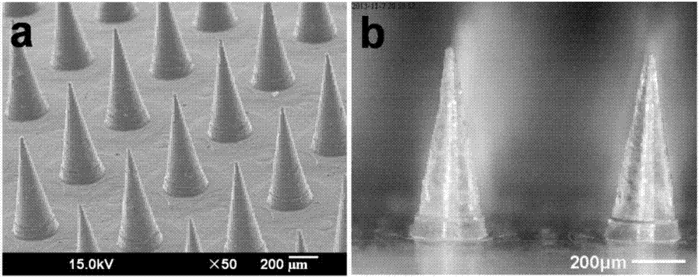 Salmon calcitonin soluble microneedle patch and preparation method thereof