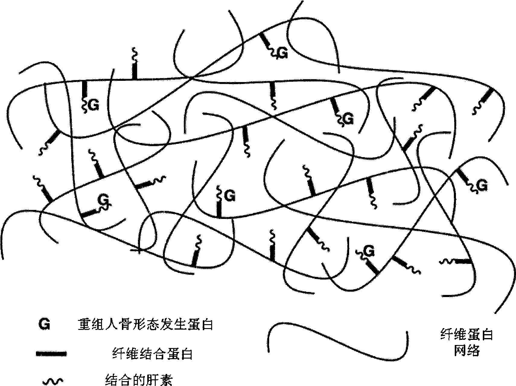 Bone induction material and preparation method and application thereof