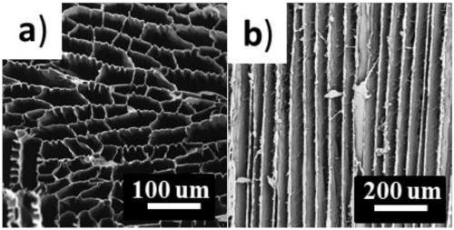 Flexible high flame retardant biologic aerogel material and preparation method thereof