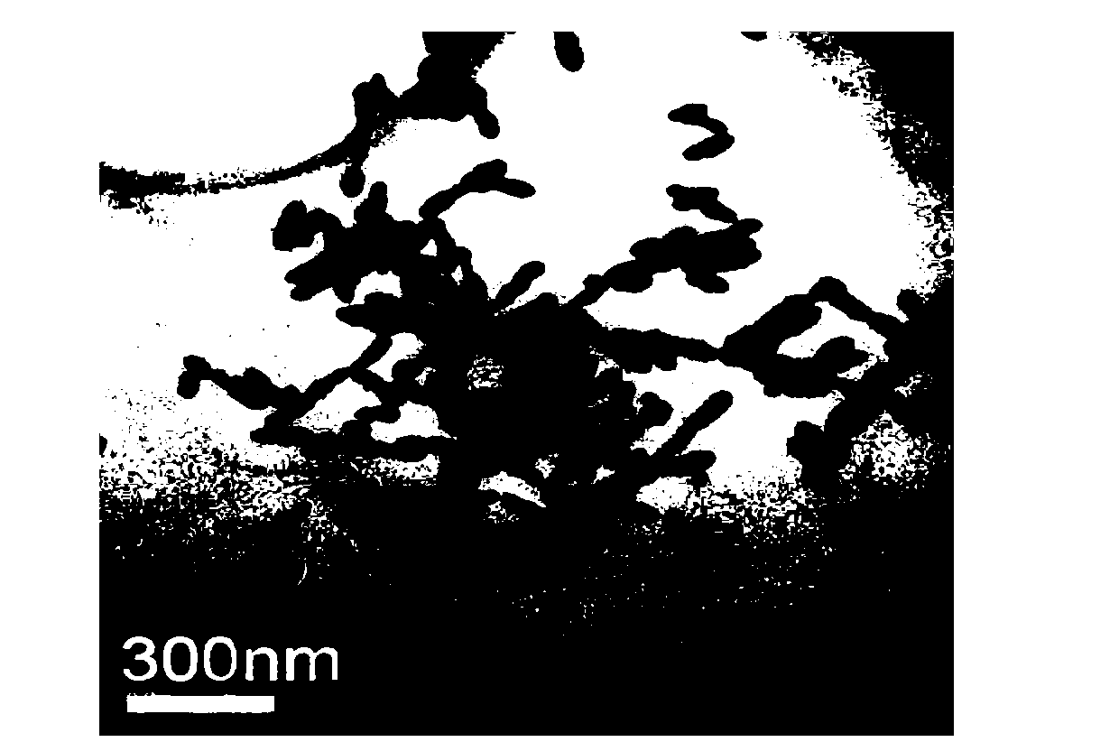 Anatase titanium dioxide nano-rods and preparation method thereof