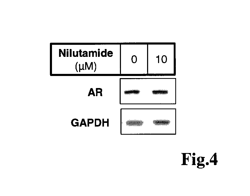 Imidazolidine-2,4-dione derivatives, and use thereof as a cancer drug