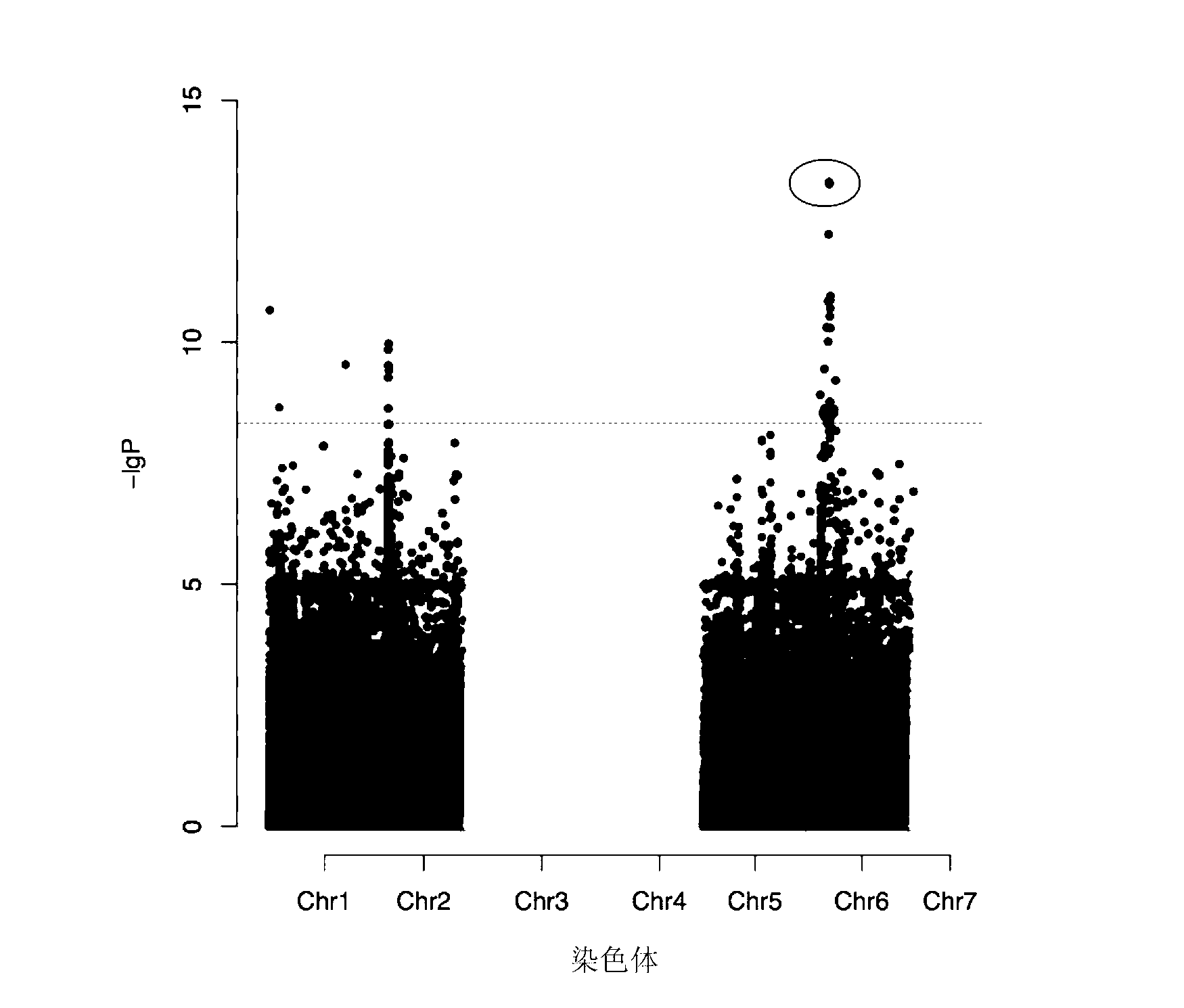 SNP (Single Nucleotide Polymorphism) marker related to bitter character of cucumber and application of SNP marker