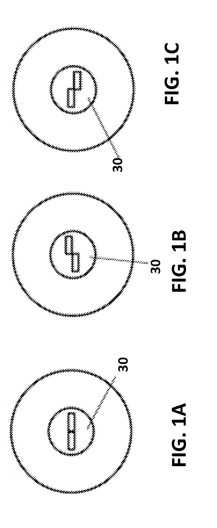 Fundus camera