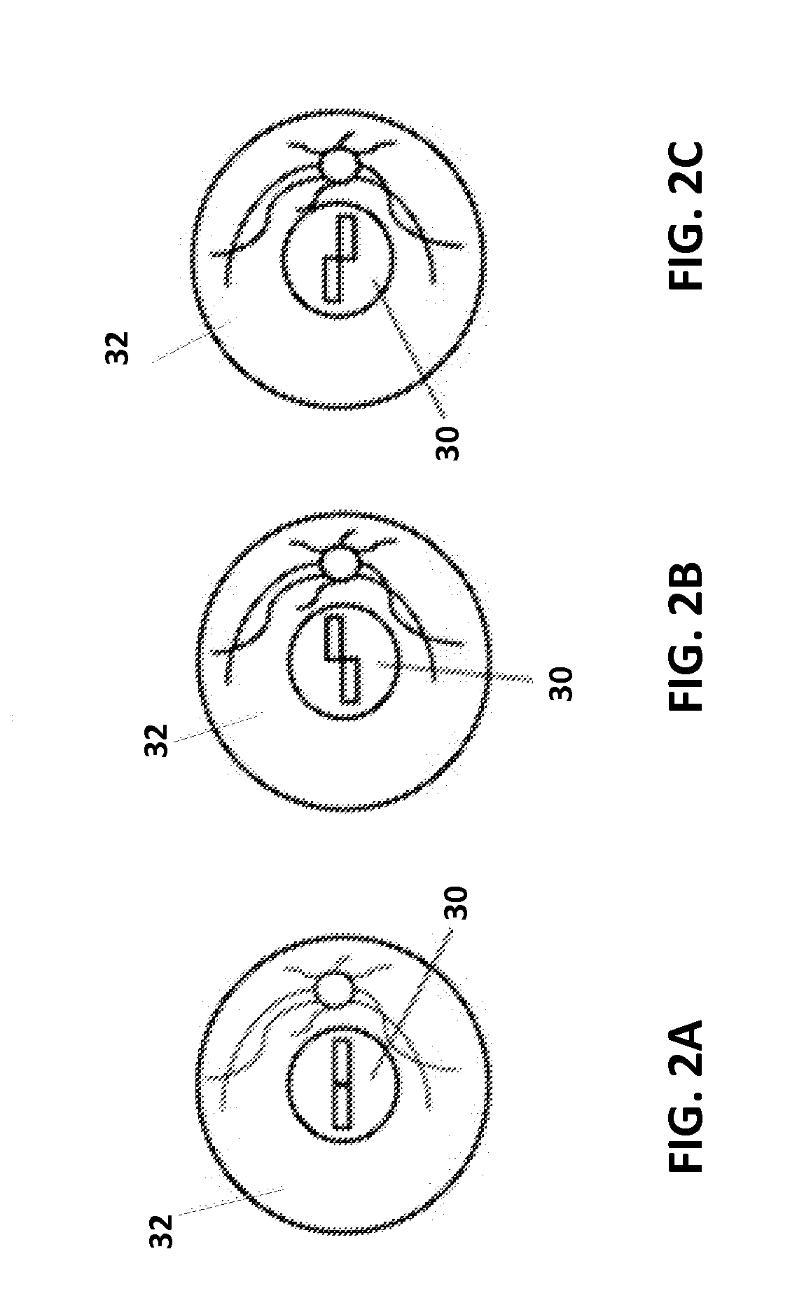 Fundus camera