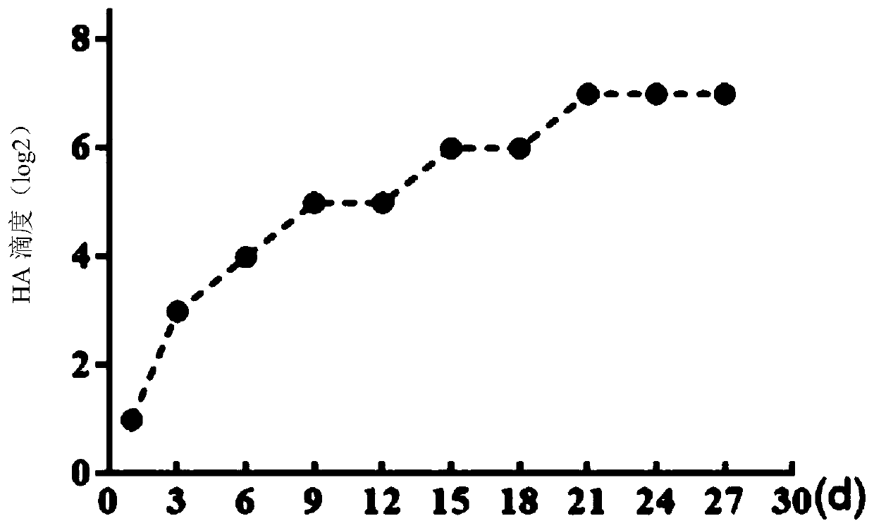 qx type ibv hemagglutination inhibition test antigen and its preparation method and application