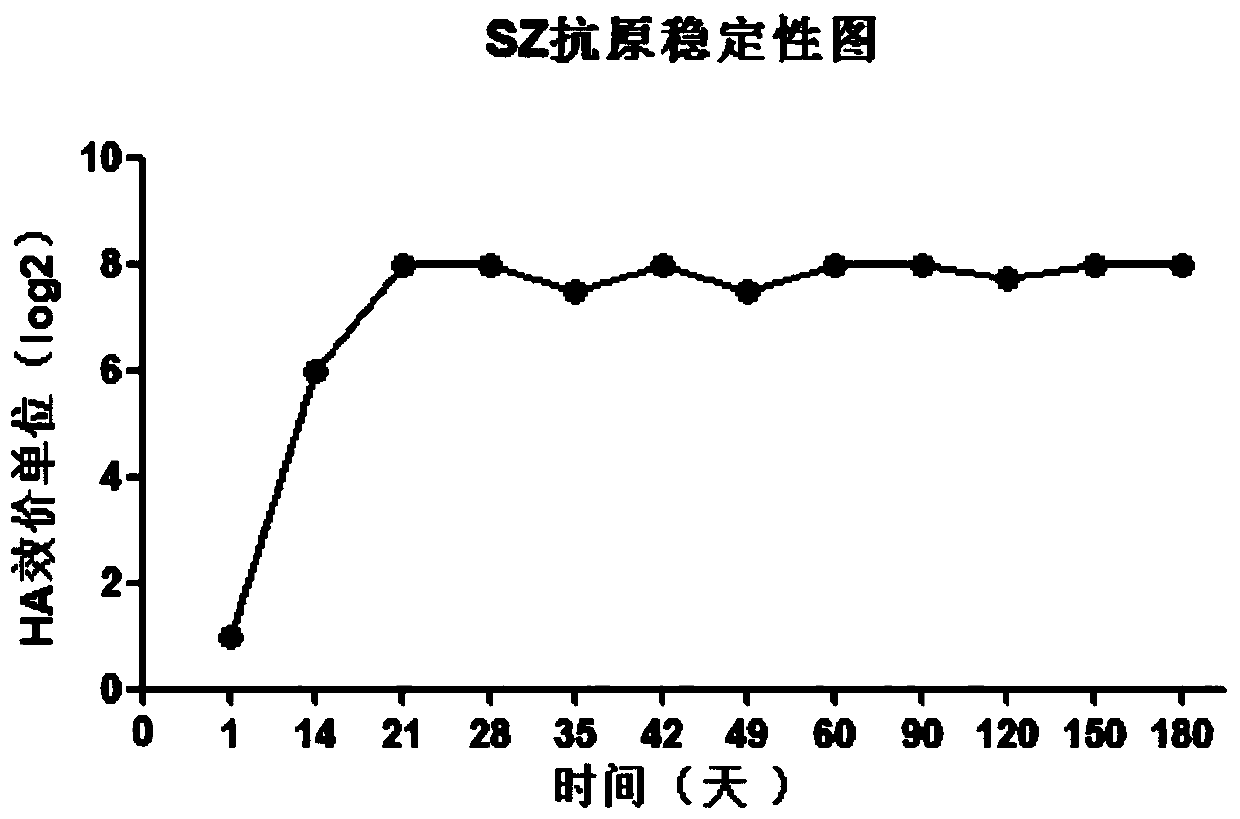 qx type ibv hemagglutination inhibition test antigen and its preparation method and application