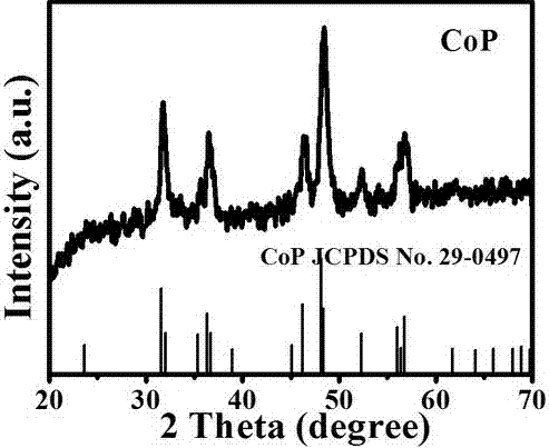 Preparation method of porous cobalt phosphide nanowire catalyst