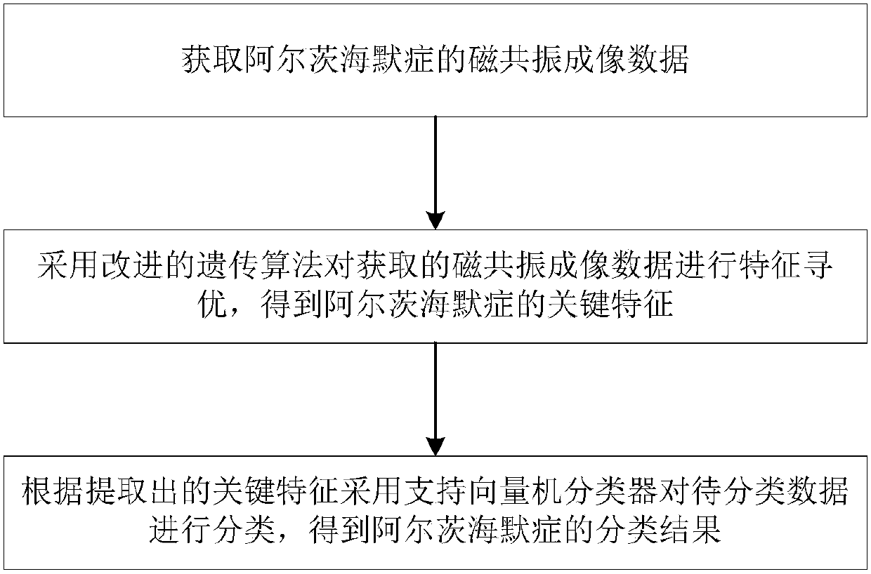 SVM (Support Vector Machine) based Alzheimer's disease characteristic classification method and system