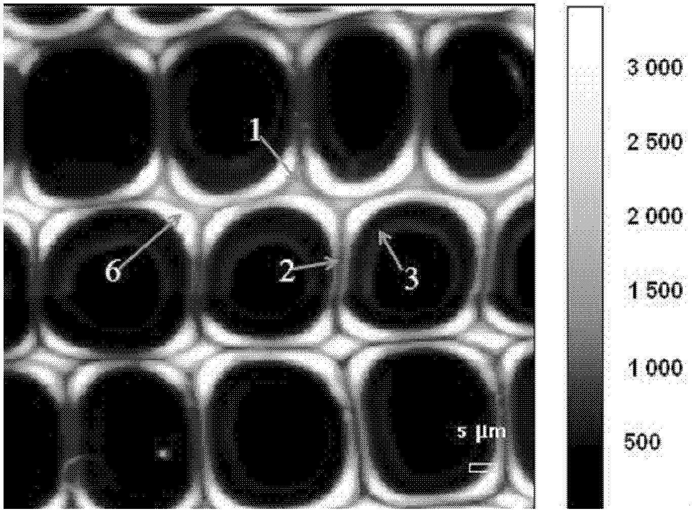 Method for testing lignification degrees of plant cell walls