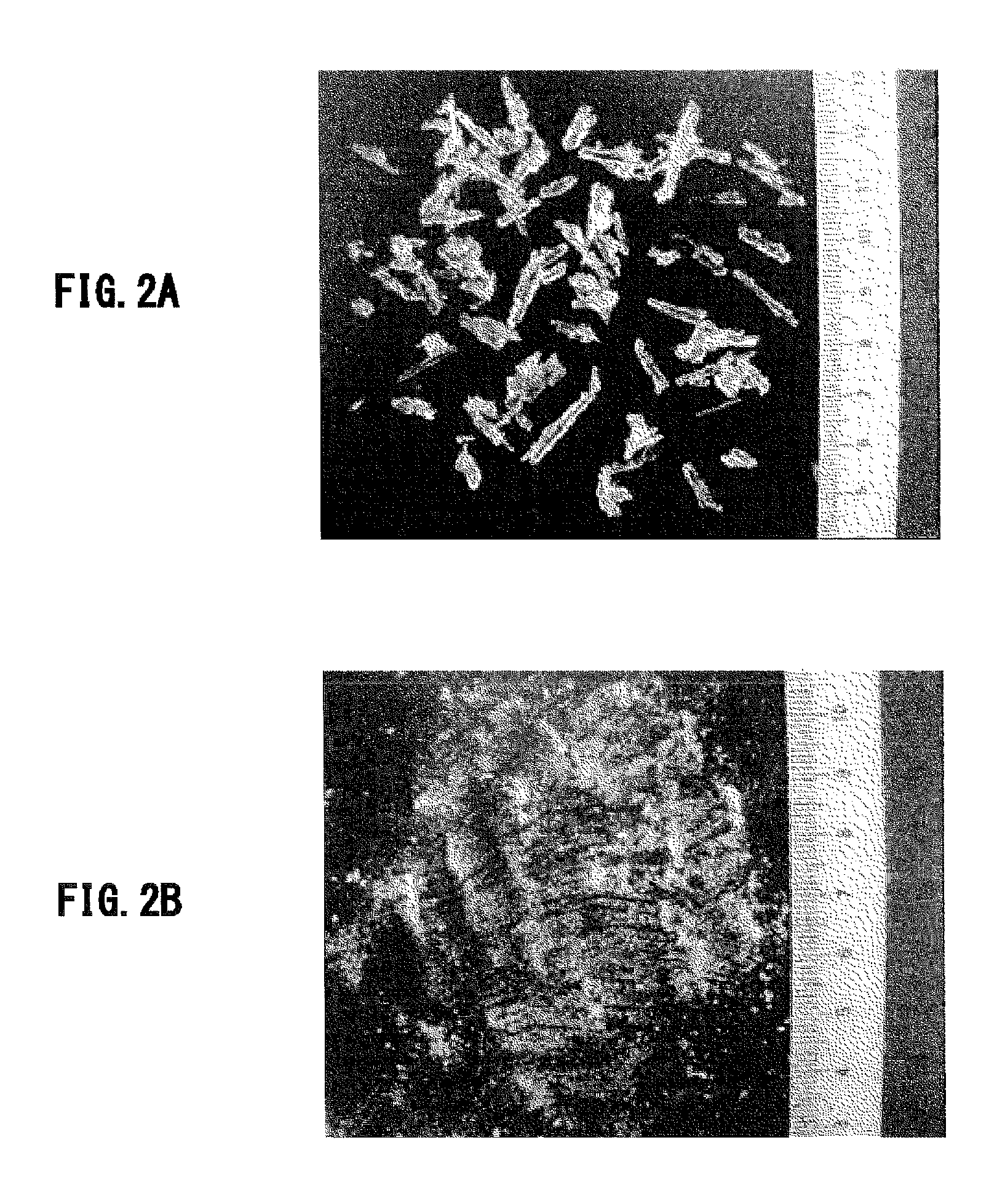 Operating method in hydrometallurgy of nickel oxide ore