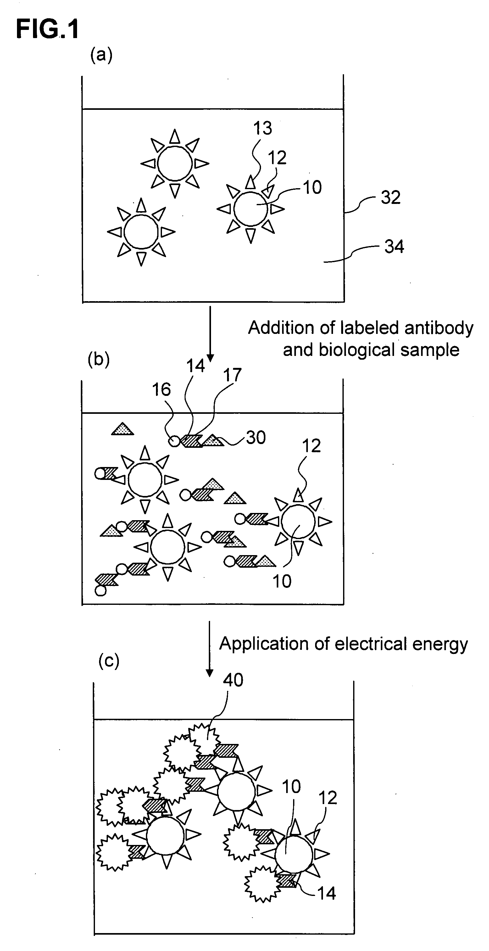 Method of Assaying Alzheimer's Disease and Diagnostic Reagent