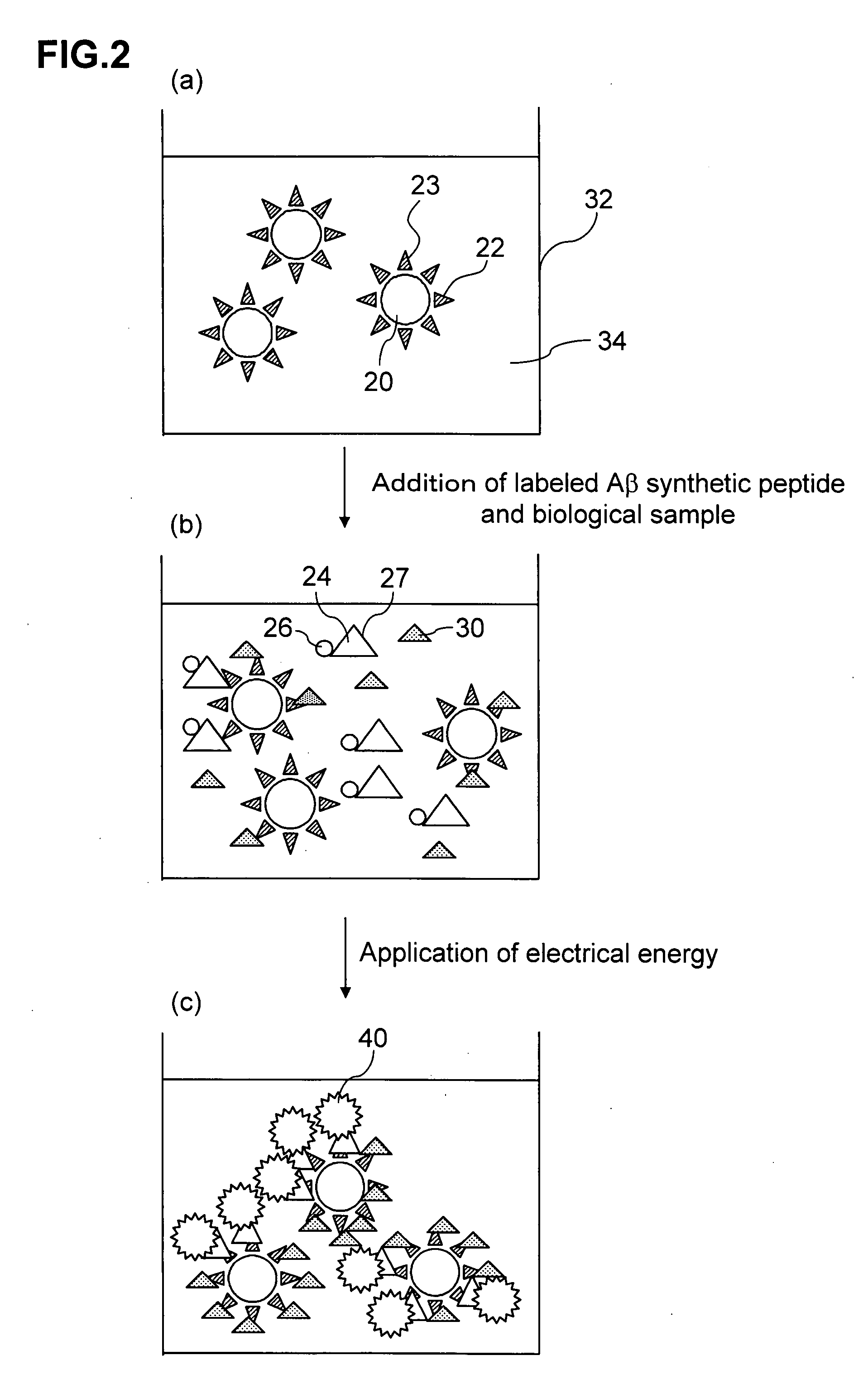 Method of Assaying Alzheimer's Disease and Diagnostic Reagent