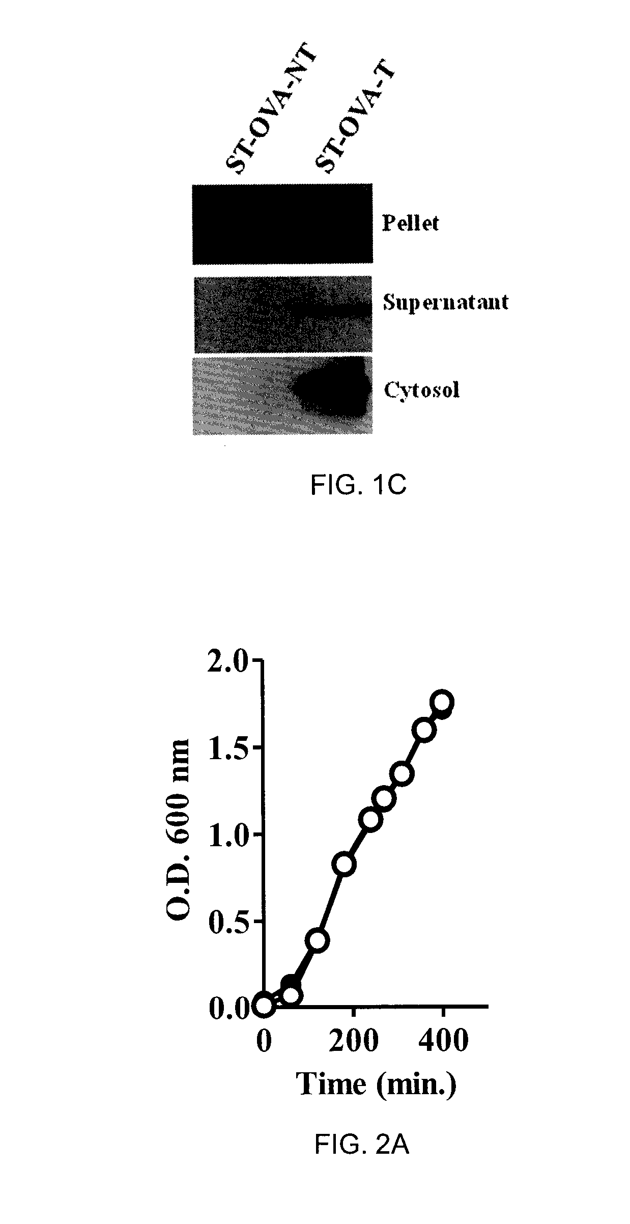 Recombinant Bacterium and Uses Thereof