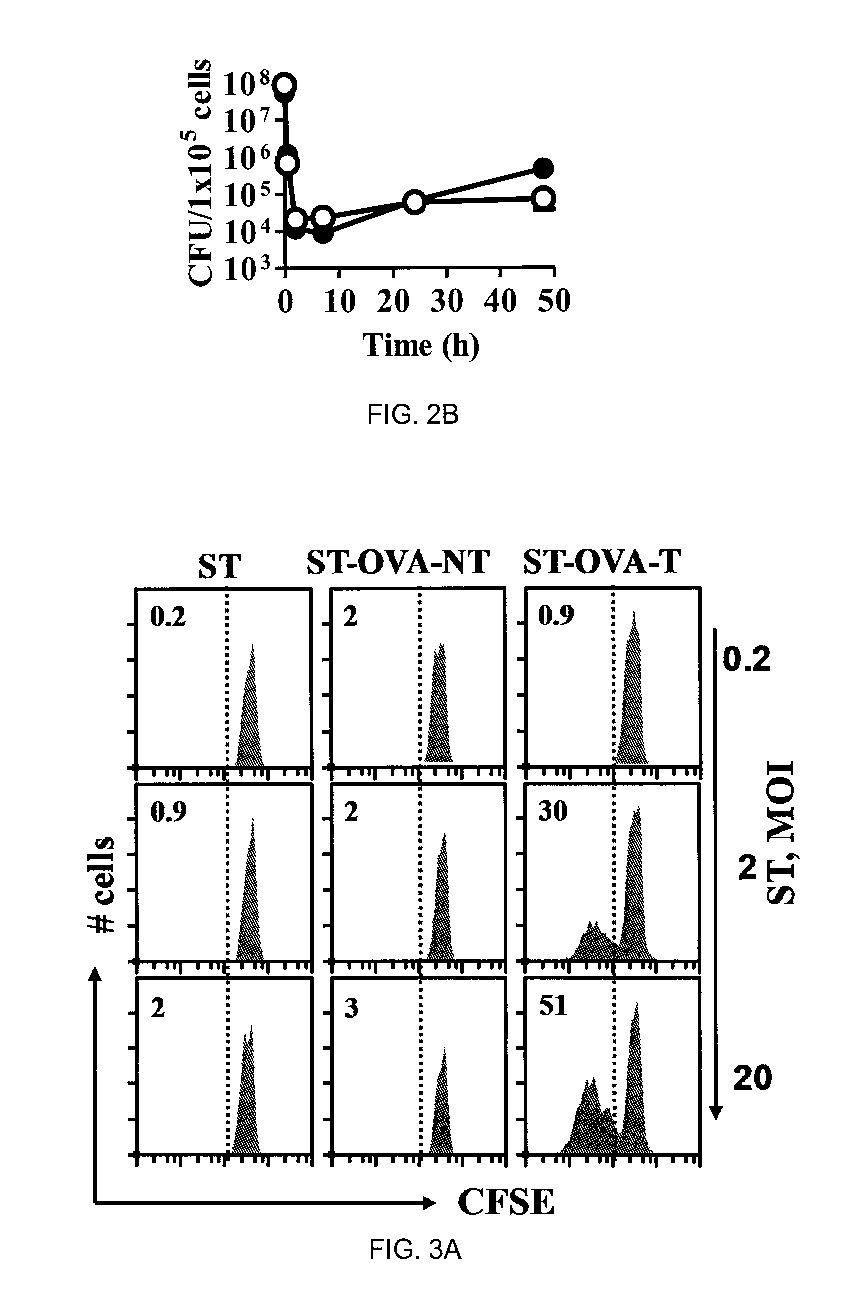 Recombinant Bacterium and Uses Thereof