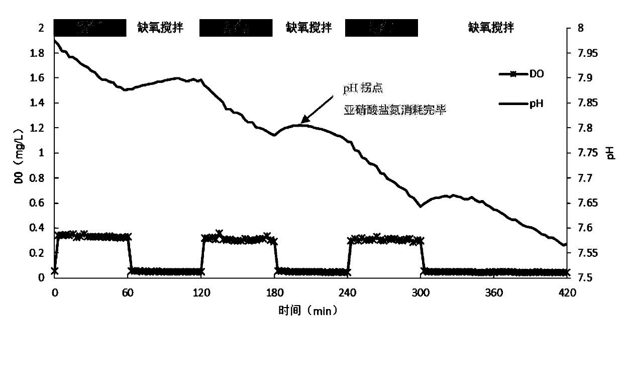 Quick start-up method of integrated autotrophic denitrification system