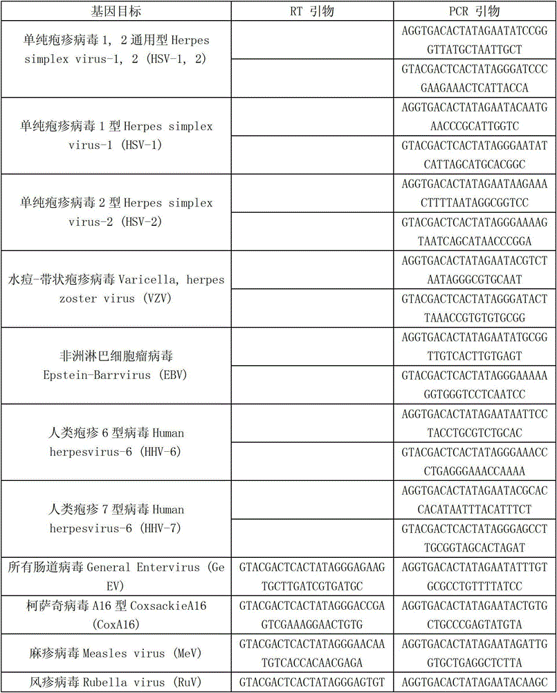 Kit capable of synchronously detecting eighteen kinds of fever with eruption pathogens and detection method thereof