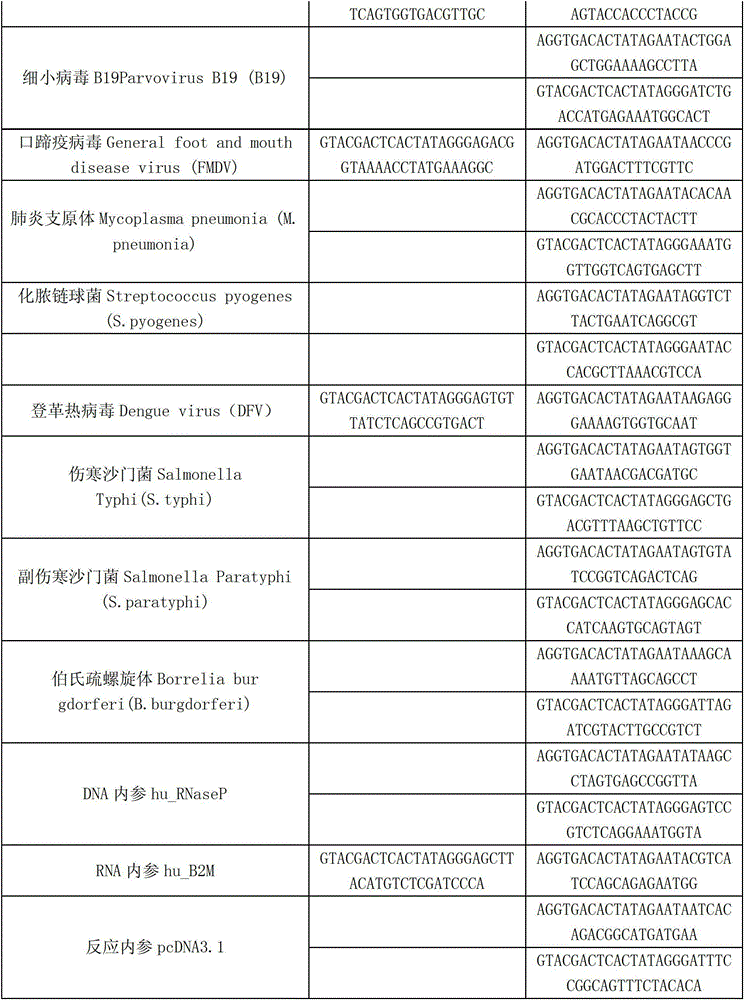 Kit capable of synchronously detecting eighteen kinds of fever with eruption pathogens and detection method thereof