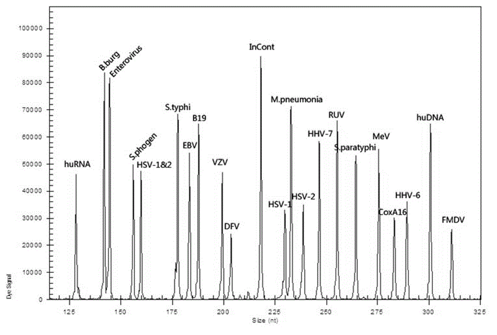 Kit capable of synchronously detecting eighteen kinds of fever with eruption pathogens and detection method thereof