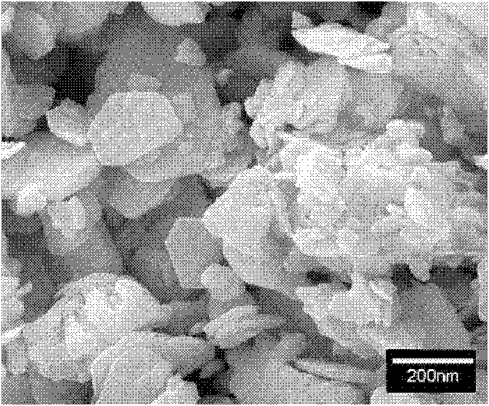 Method for preparing nano WS2/MoS2 granules