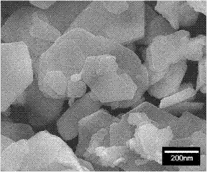 Method for preparing nano WS2/MoS2 granules