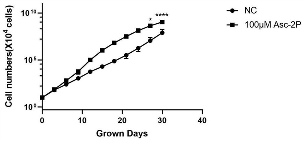 Improved culture medium for in-vitro amplification culture of cultured meat seed cells and application thereof