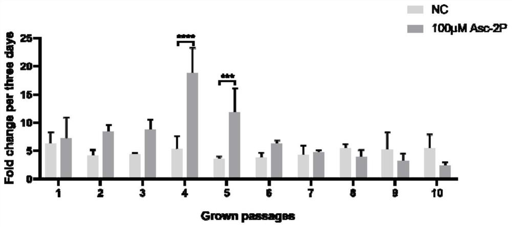 Improved culture medium for in-vitro amplification culture of cultured meat seed cells and application thereof