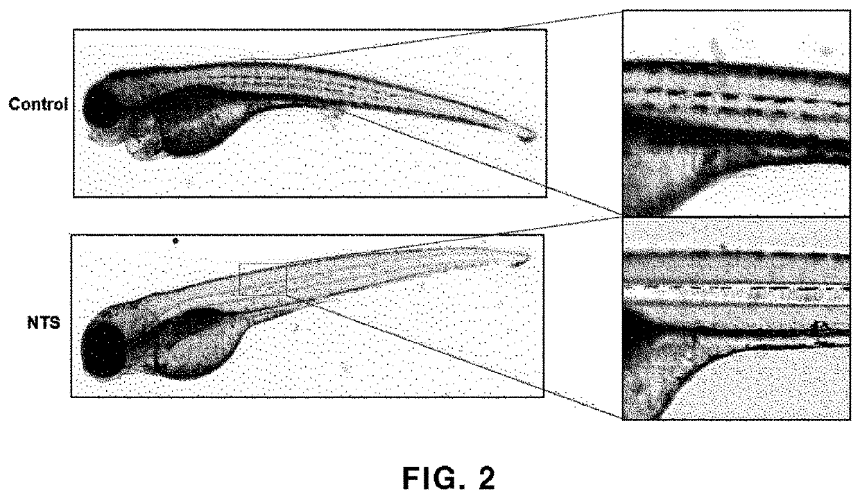 Composition for skin whitening or wound treatment, containing liquid plasma