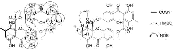 Secalonic acid I derived from penicillium oxalicum and application of secalonic acid I for preparing medicine for preventing human colon cancer