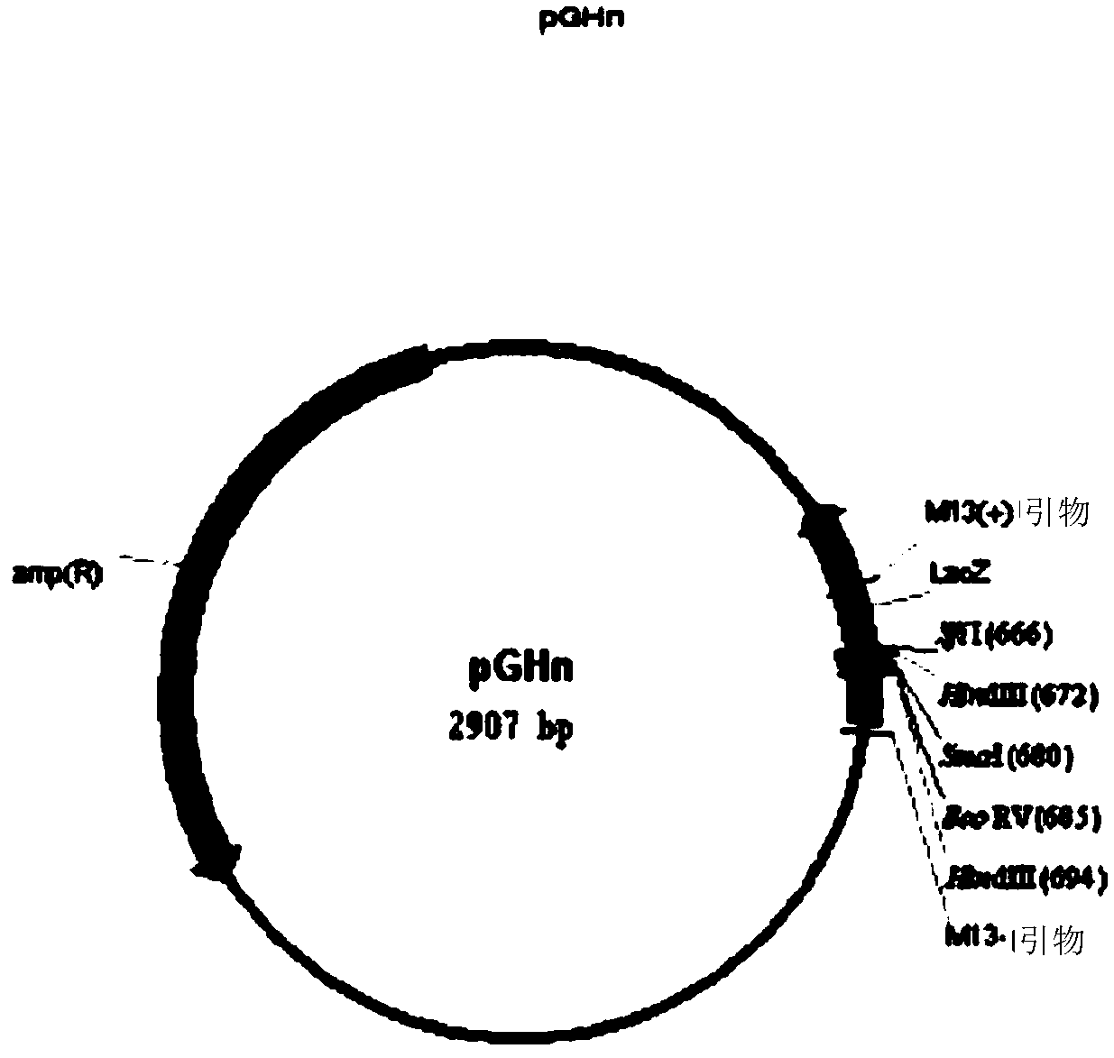 Teduglutide tandem polypeptide and preparation method of teduglutide