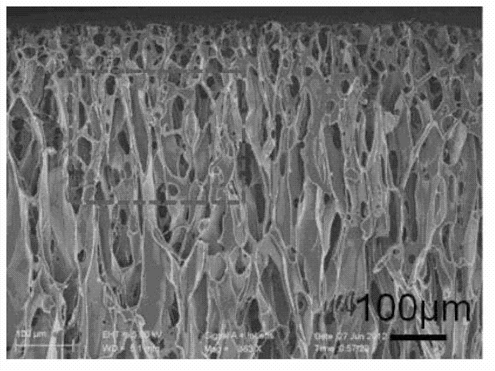 Nanometer composite scaffolds assembled by adopting chitosan scaffold, preparation method and applications thereof