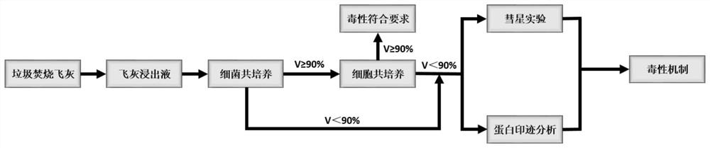 A Method for Evaluating the Leaching Toxicity of Municipal Waste Incineration Fly Ash