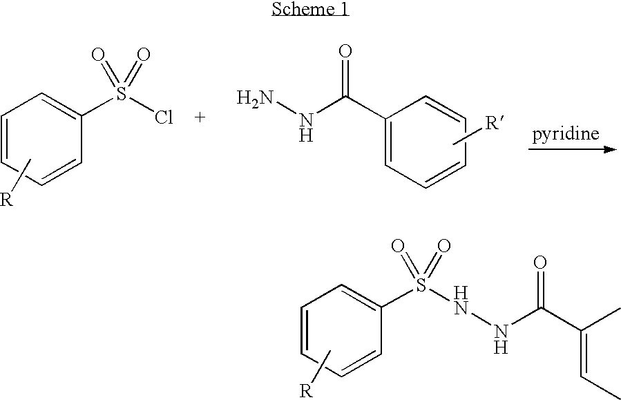 Branched chain amino acid-dependent aminotransferase inhibitors and their use in the treatment of neurodegenerative diseases