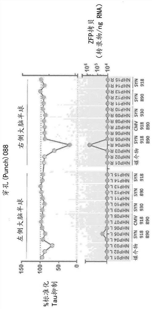 Methods and compositions for modulation of tau proteins