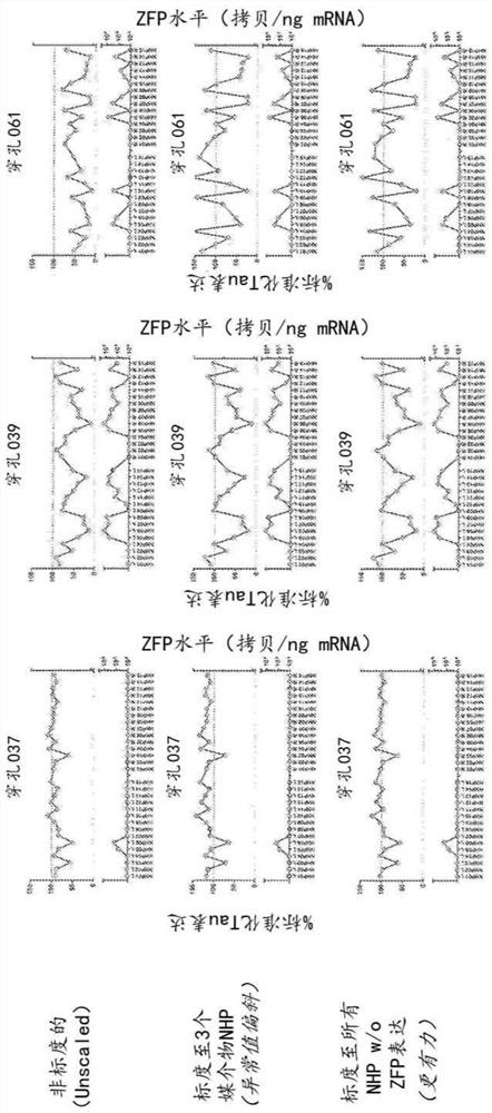 Methods and compositions for modulation of tau proteins