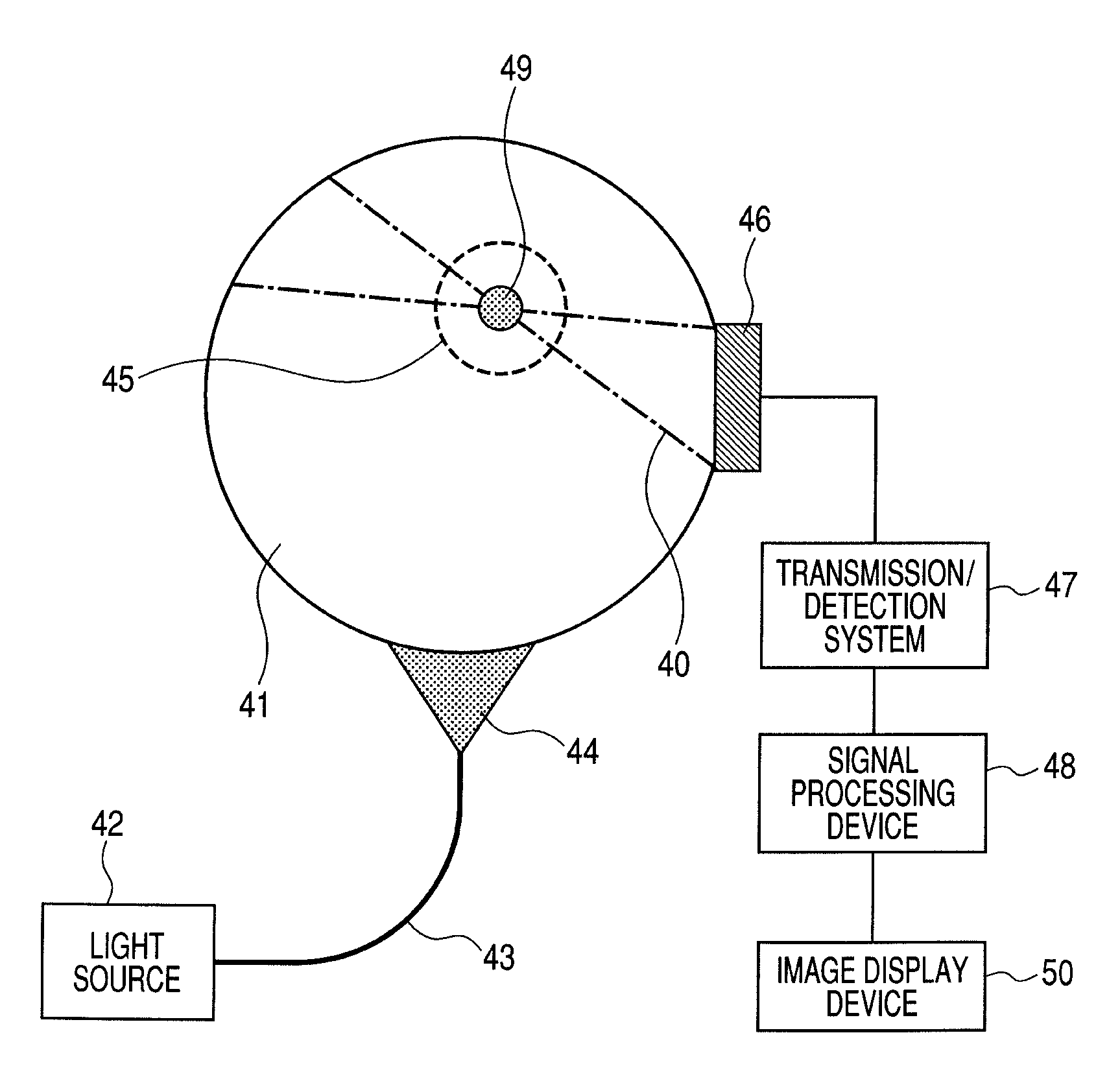 Biological information imaging apparatus and method for analyzing biological information