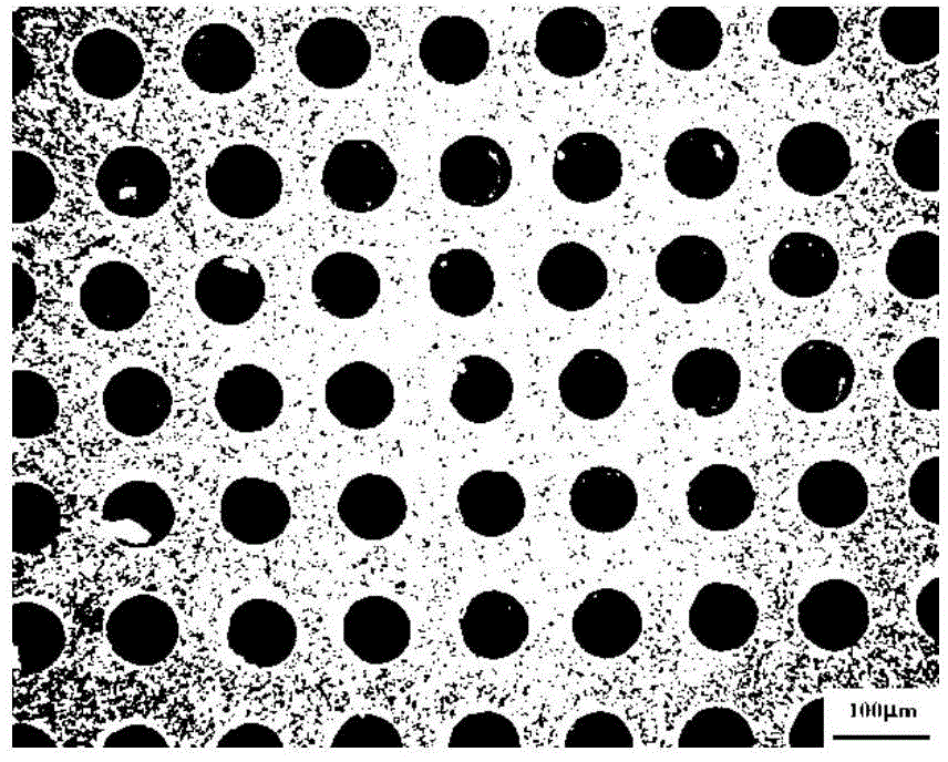 Preparation method of biological composite material using titanium alloy as implant