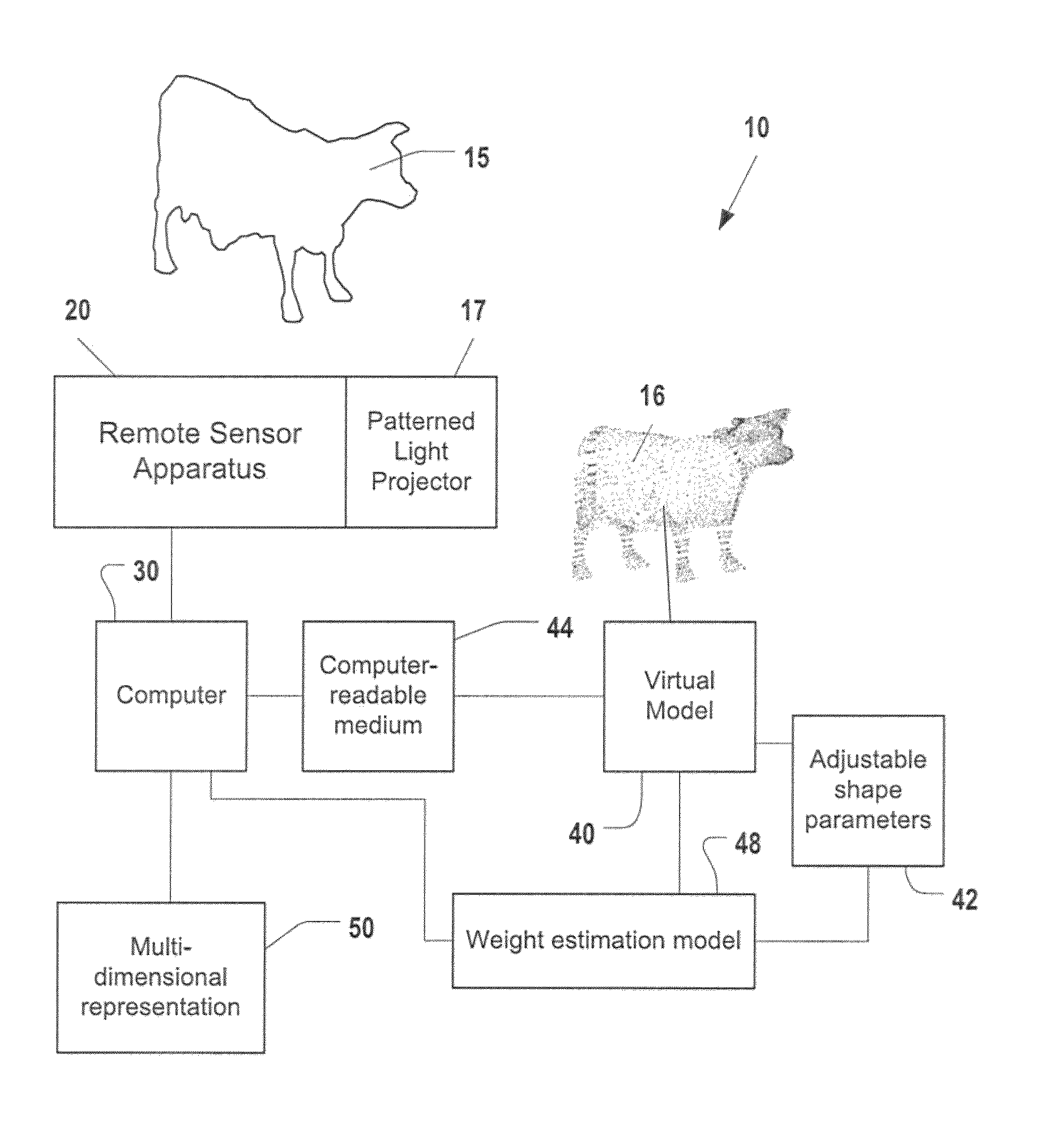 Remote contactless stereoscopic mass estimation system