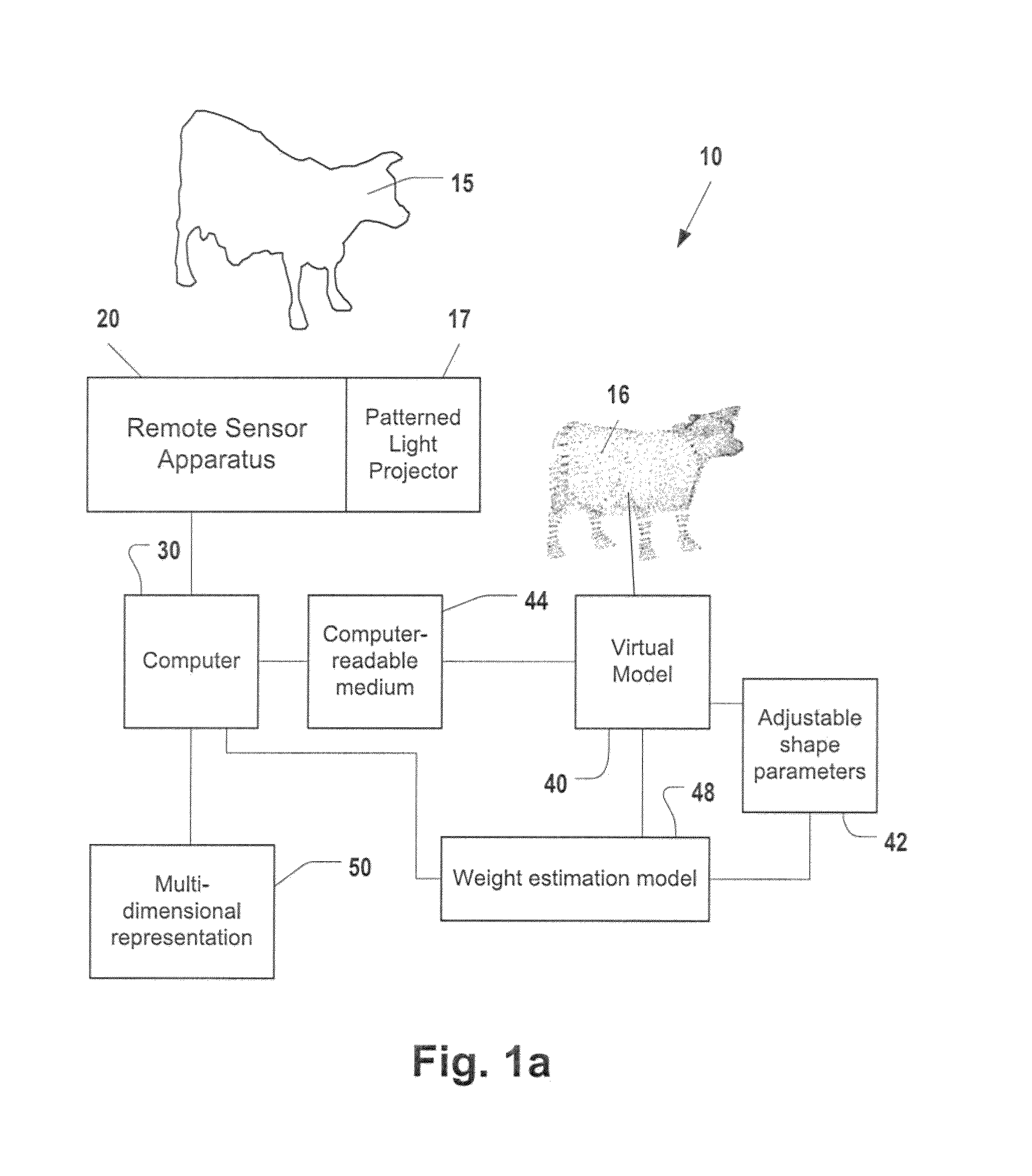 Remote contactless stereoscopic mass estimation system