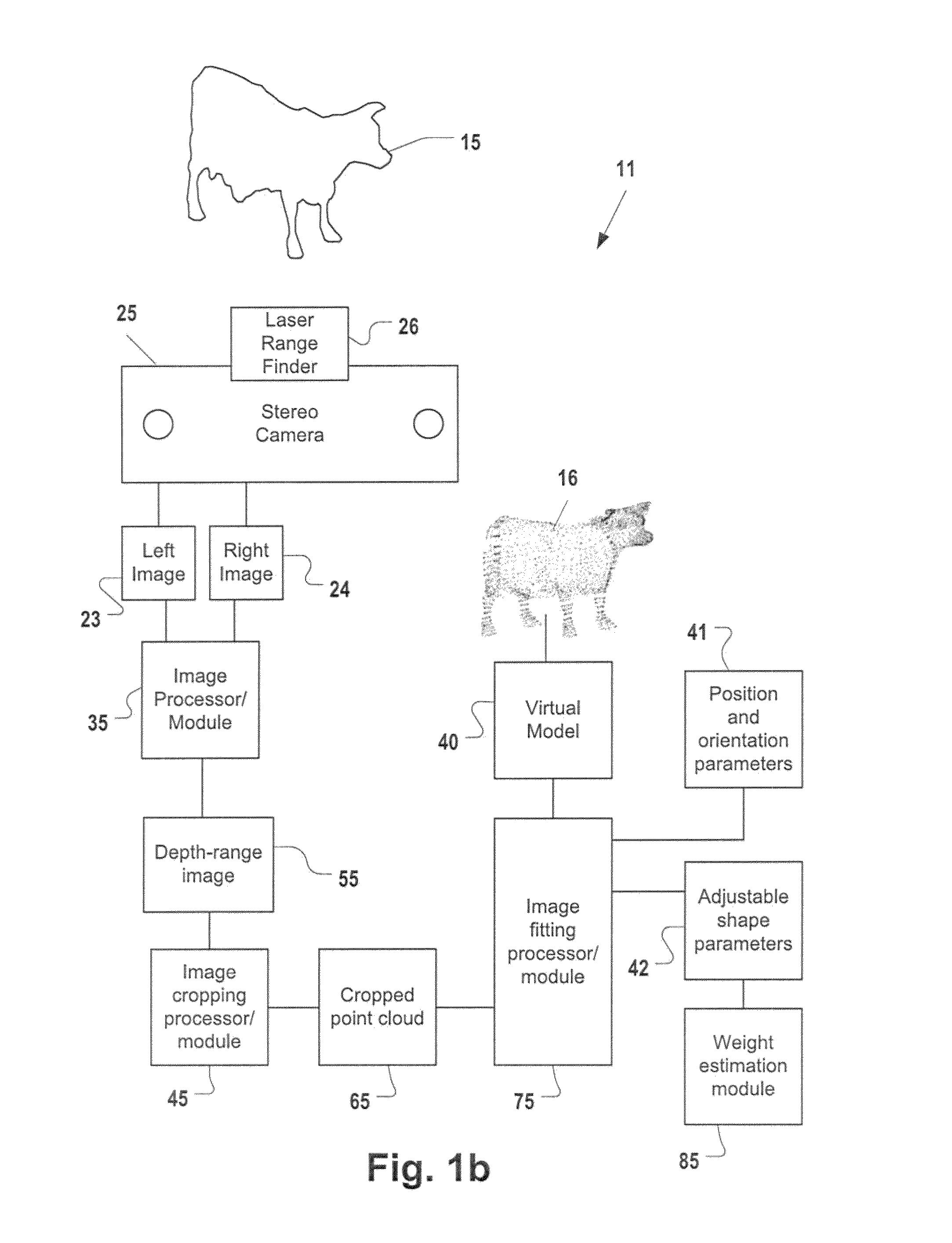 Remote contactless stereoscopic mass estimation system