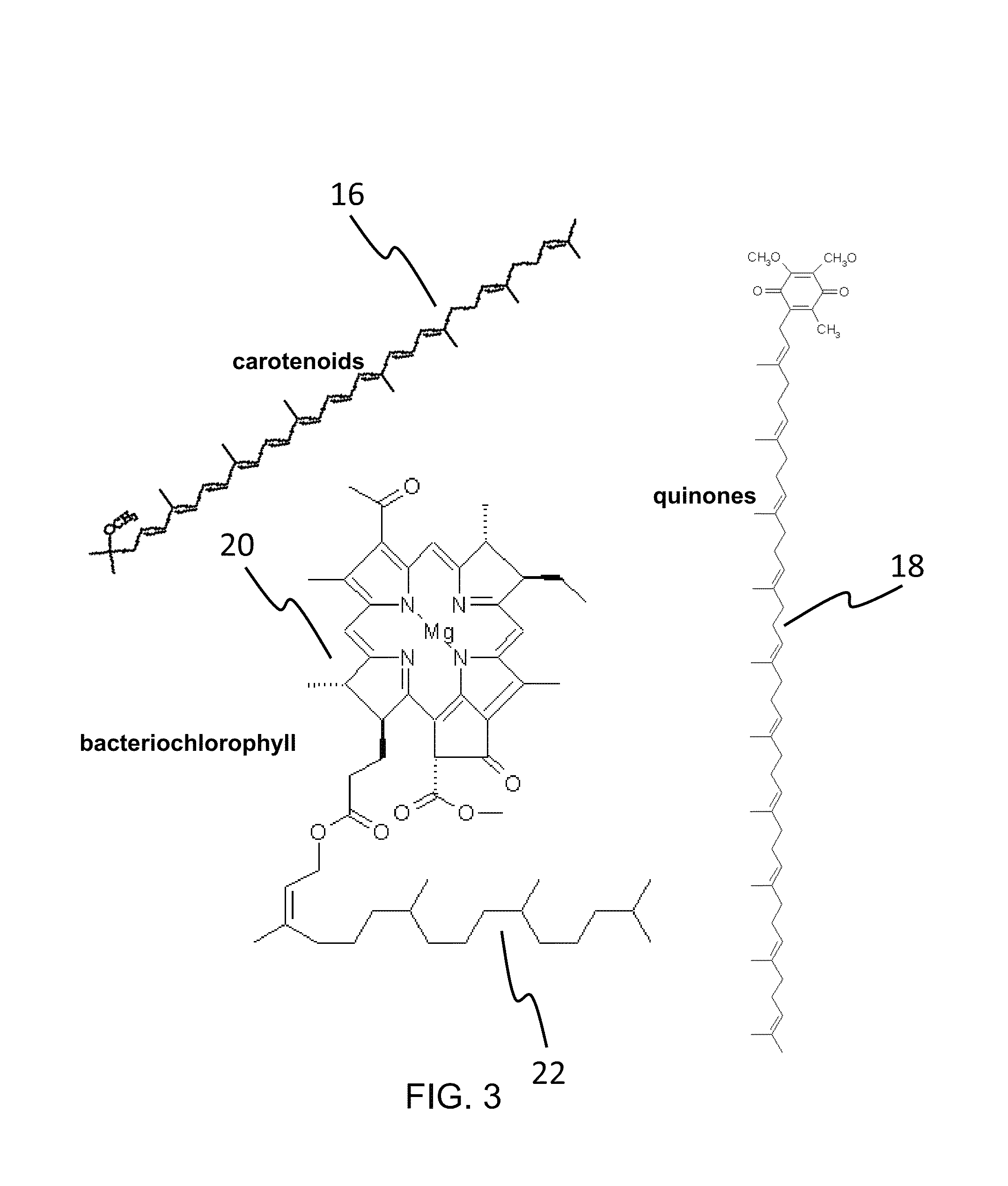 Engineered photosynthetic bacteria, method of manufacture of biofuels