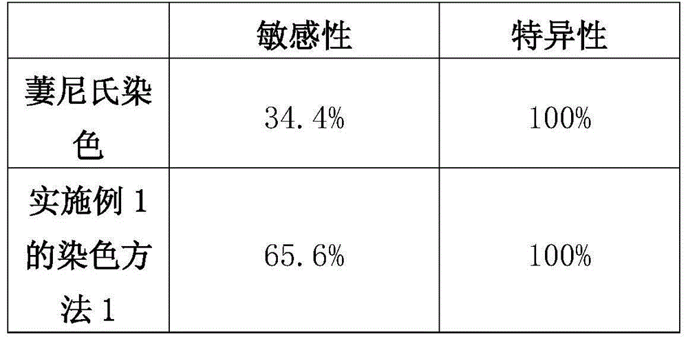 Kit and staining method for doubly staining mycobacterium tuberculosis and antigen of mycobacterium tuberculosis