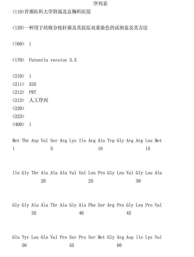 Kit and staining method for doubly staining mycobacterium tuberculosis and antigen of mycobacterium tuberculosis