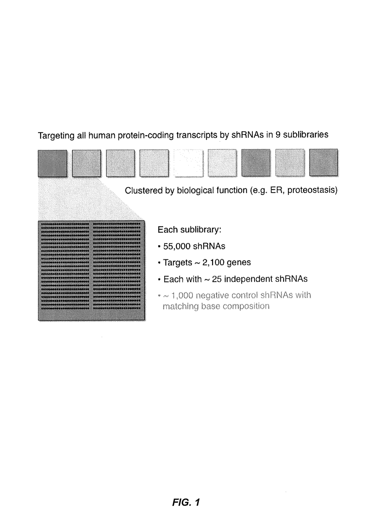 Methods for genome-wide screening and construction of genetic interaction maps