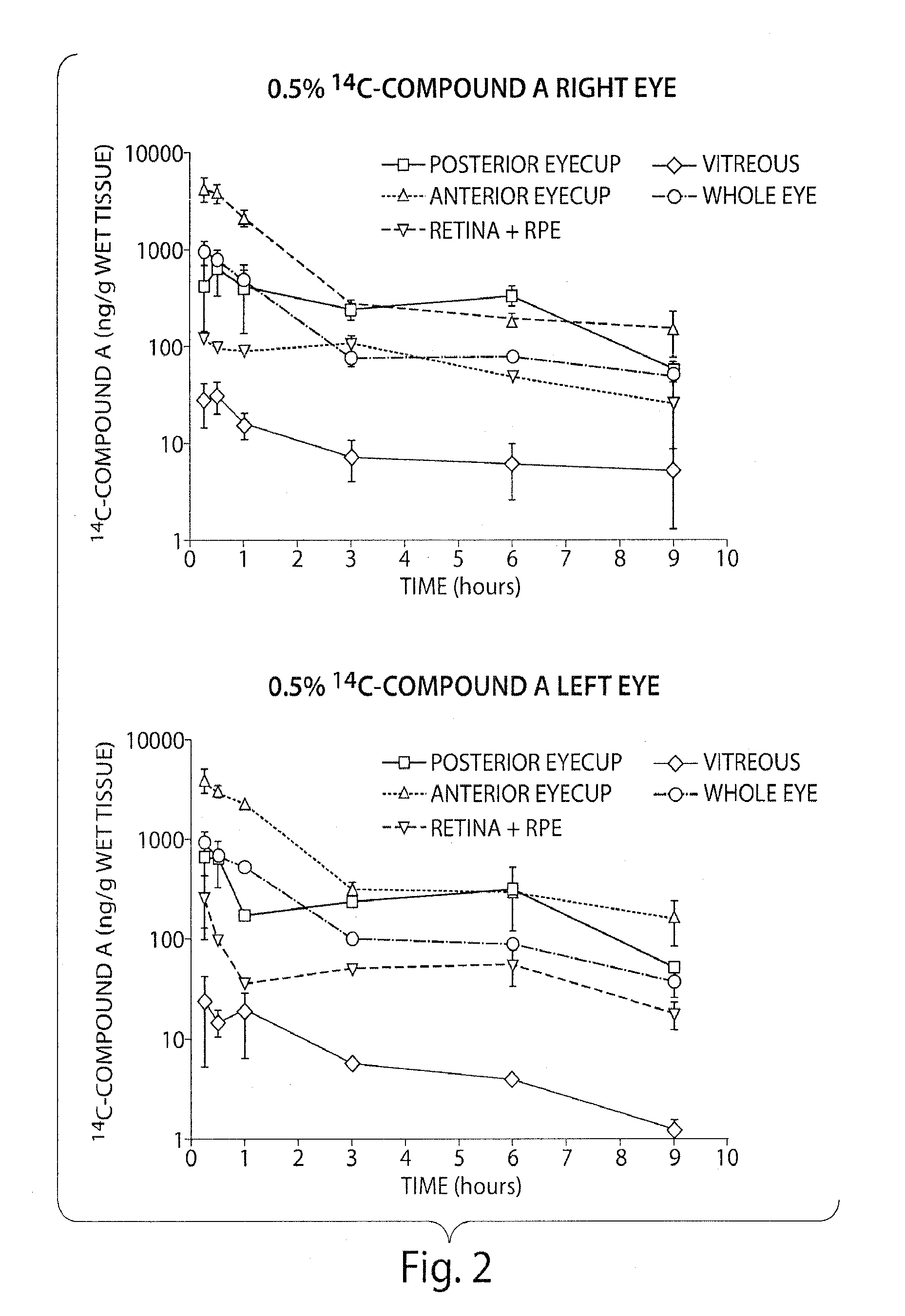 Compositions and methods for the treatment of macular degeneration