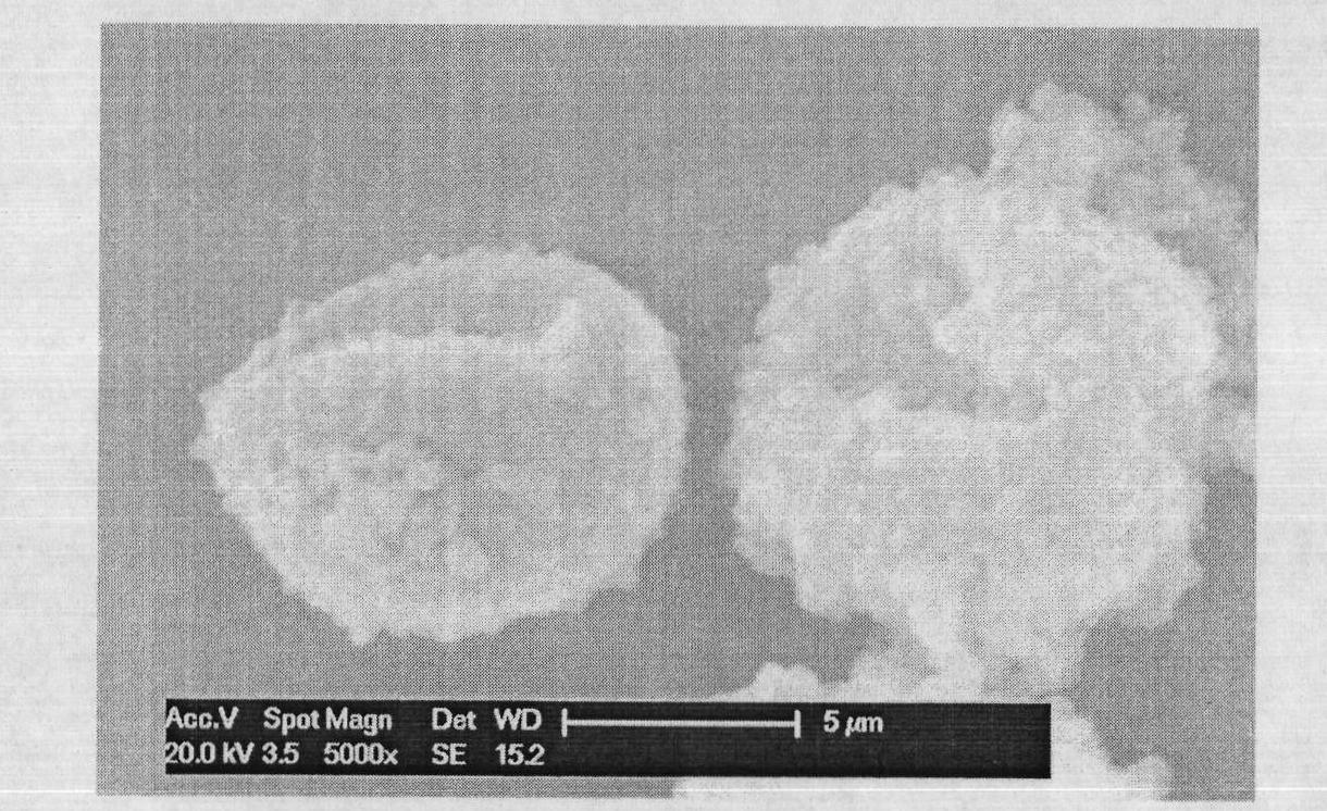 Polydopamine microcapsules and preparation method thereof