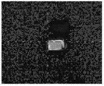 Laser damage testing device for optical thin film